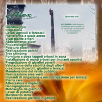 fornitura-e-posa-tappeti-erbosi