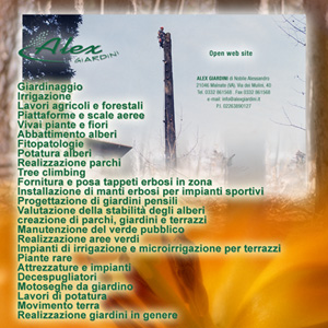 piattaforme-e-scale-aeree-per-lavori-agricoli-e-forestali